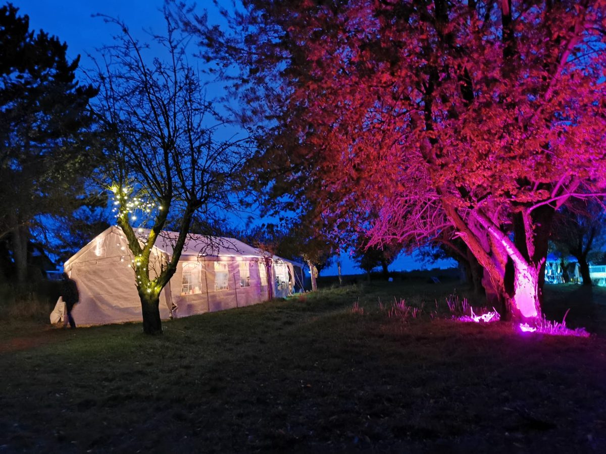 Das Festzelt in der Abenddämmerung, farbig angestrahlt.